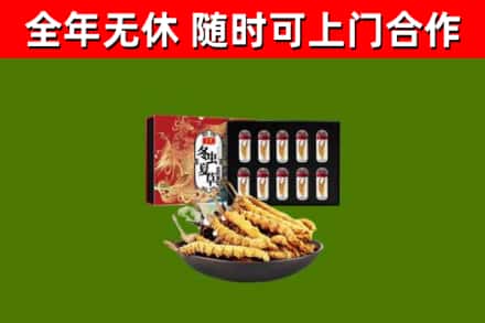 西藏烟酒回收冬虫夏草礼盒.jpg